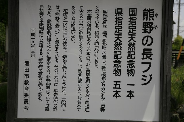 a0188405_13165716.jpg