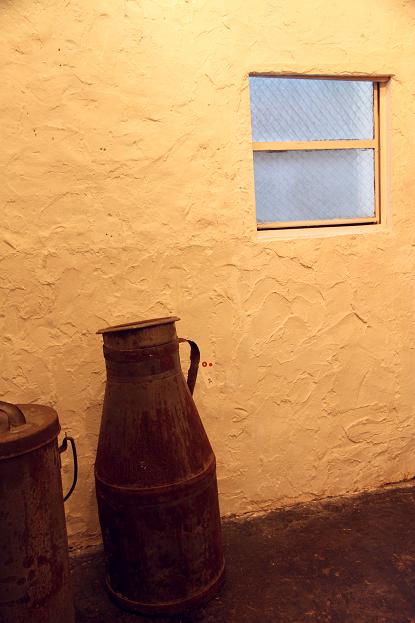 f0155808_1183012.jpg