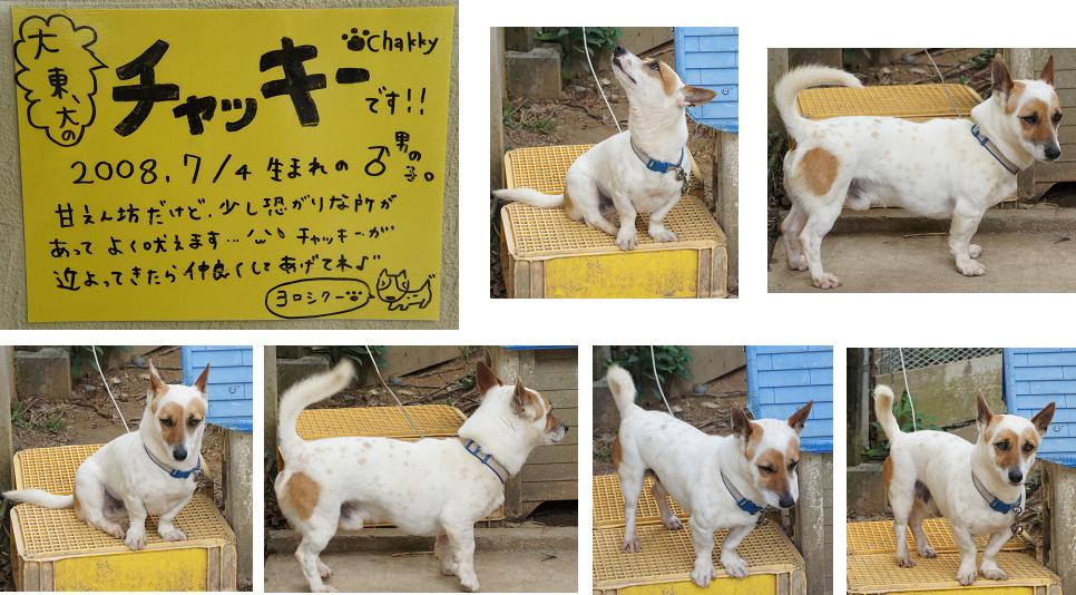 沖縄こどもの国 つくるの大好き 日々是好日