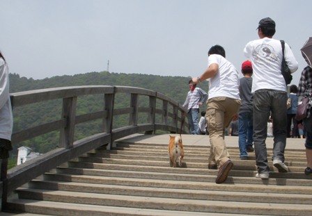 f0004309_21563835.jpg