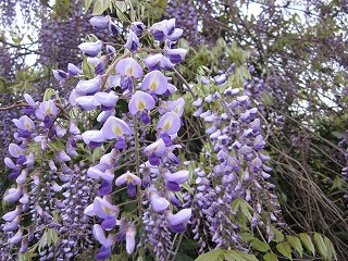 d0172010_1303837.jpg