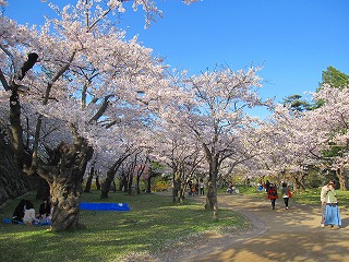 f0100911_22594166.jpg