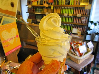 f0100911_233039.jpg