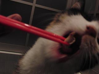 c0201113_20512256.jpg