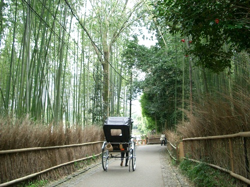 嵯峨野の町並み（京都府京都市右京区）_c0219820_16404969.jpg