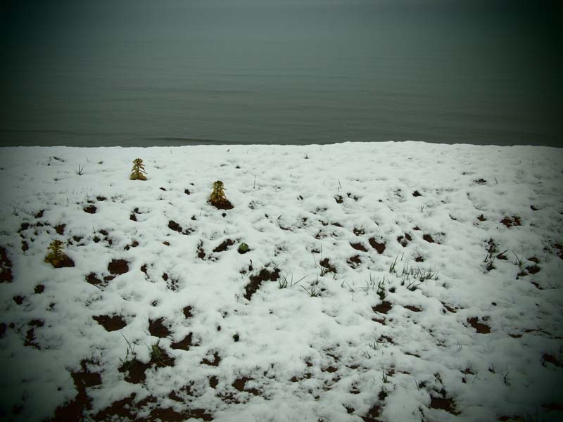 f0234423_20381837.jpg