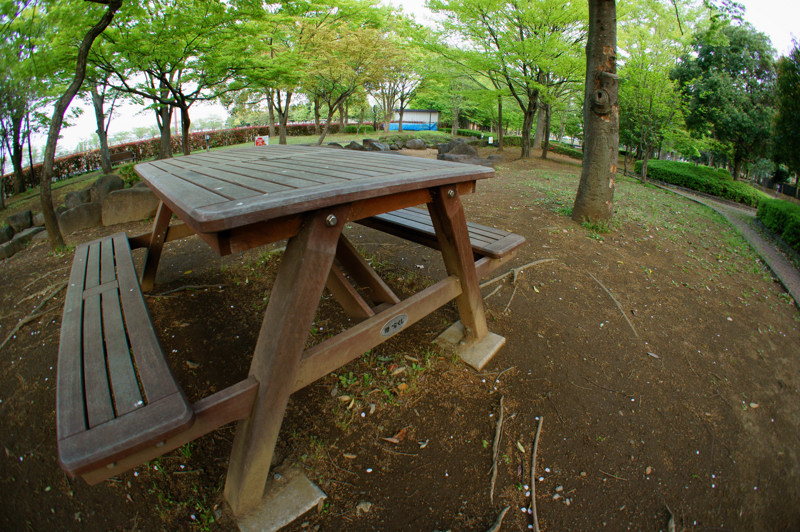 e0135024_21344882.jpg