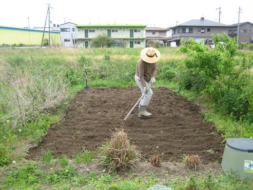 そんな感じのGW_f0097924_34116.jpg