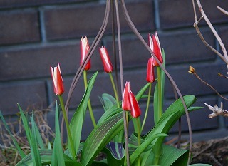 f0170524_21223070.jpg