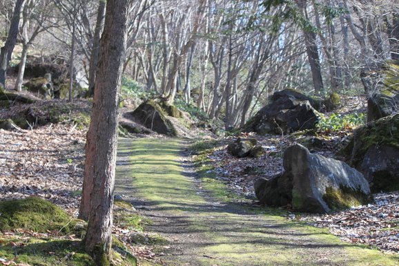 b0200526_2013176.jpg