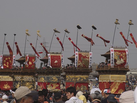 亀崎潮干祭_c0077531_17305561.jpg