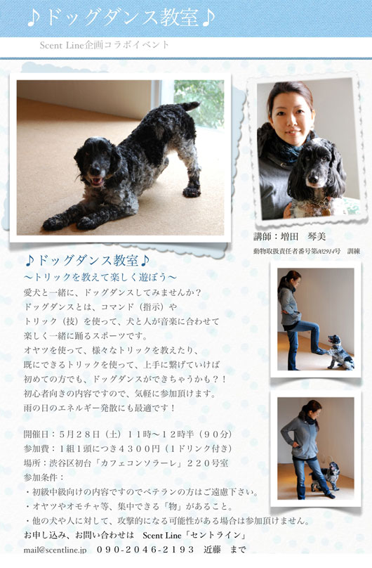 ドッグダンス教室のお知らせ_c0099133_2011479.jpg