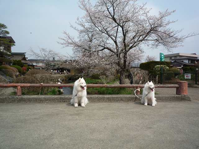 e0196135_0105099.jpg