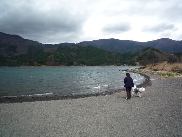 e0196135_0365840.jpg