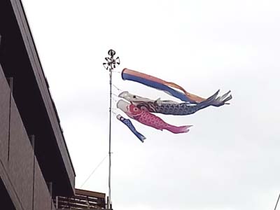 b0019140_15383450.jpg