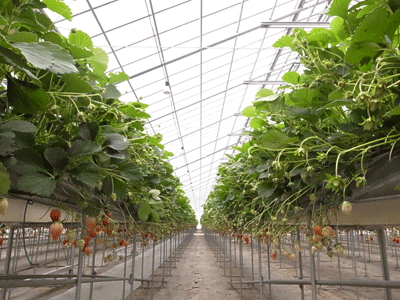 f0209541_2223447.gif