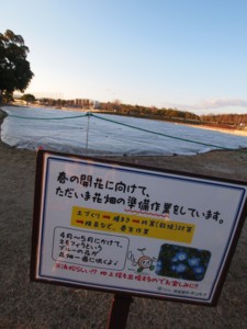 c0119142_6582482.jpg