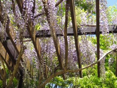 c0119142_785285.jpg