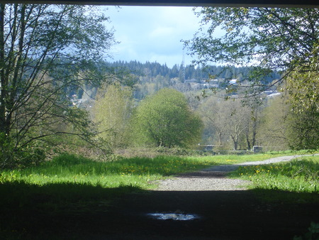 a0025444_23371145.jpg