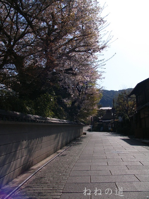 d0027244_8584032.jpg
