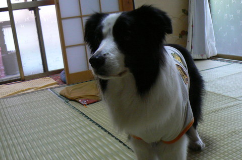 b0177649_2331691.jpg