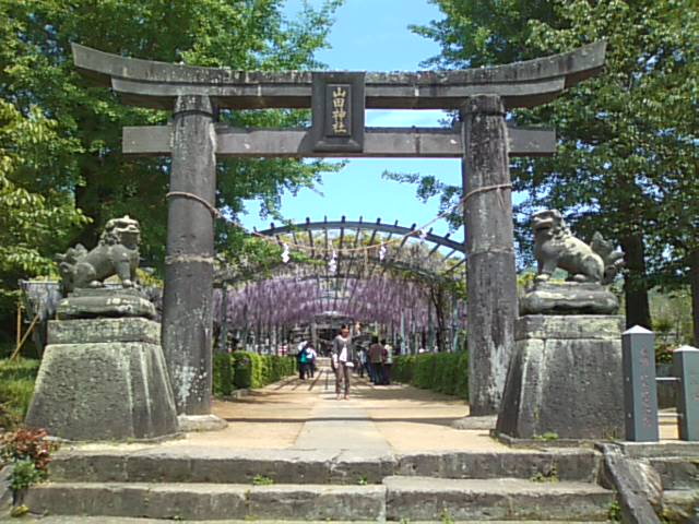 山田の藤&もんどフェスタ♪_b0115751_2036623.jpg