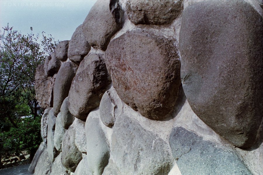 d0100156_1932869.jpg