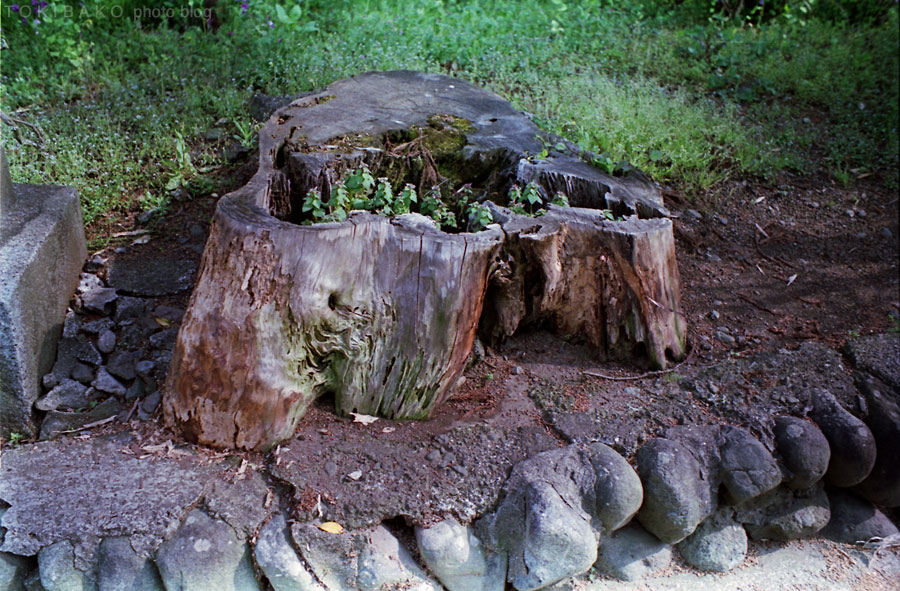 d0100156_1938034.jpg