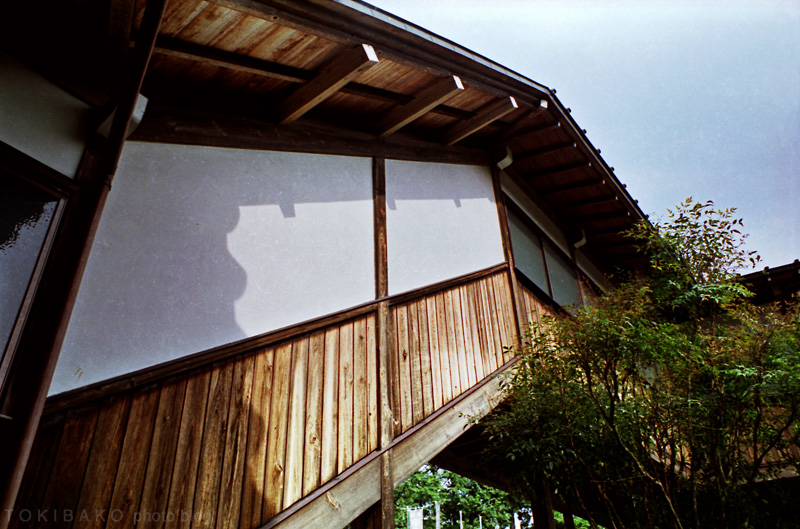 d0100156_19424866.jpg