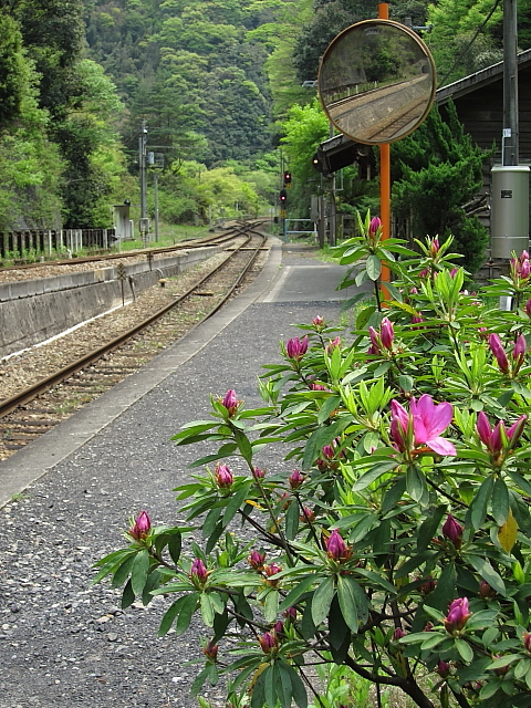 坪尻駅でボンヤリ～_d0152960_22295150.jpg