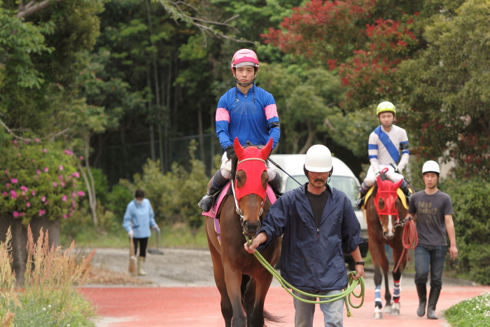 2011年4月30日（土） 高知競馬 2R C3-4選抜馬_a0077663_5591215.jpg