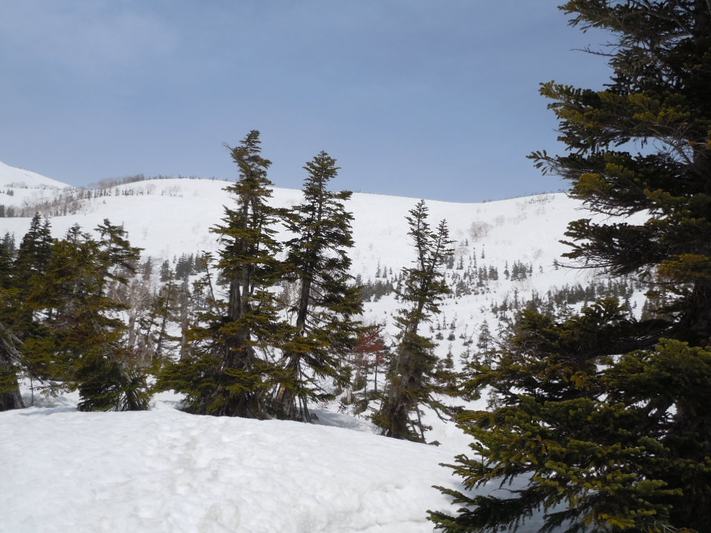 f0145963_005716.jpg