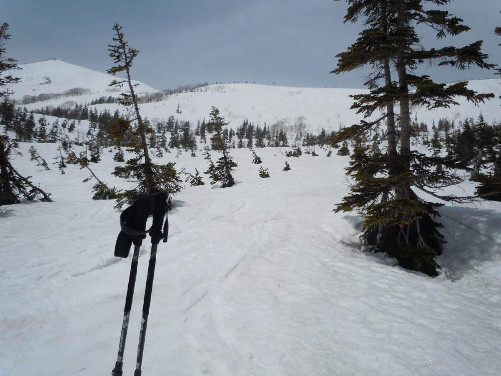 f0145963_0132846.jpg