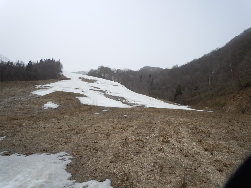 f0145963_0282139.jpg