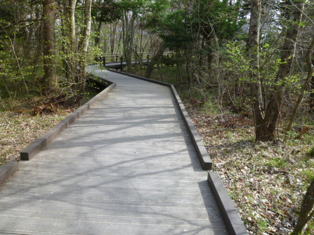 c0100865_8144424.jpg