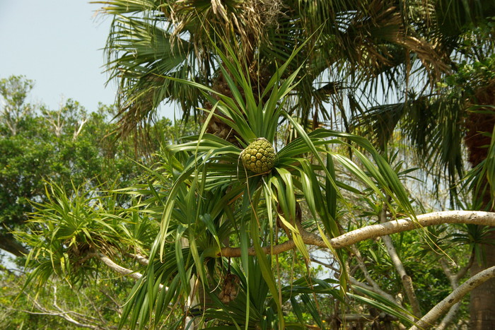 e0140365_22344978.jpg