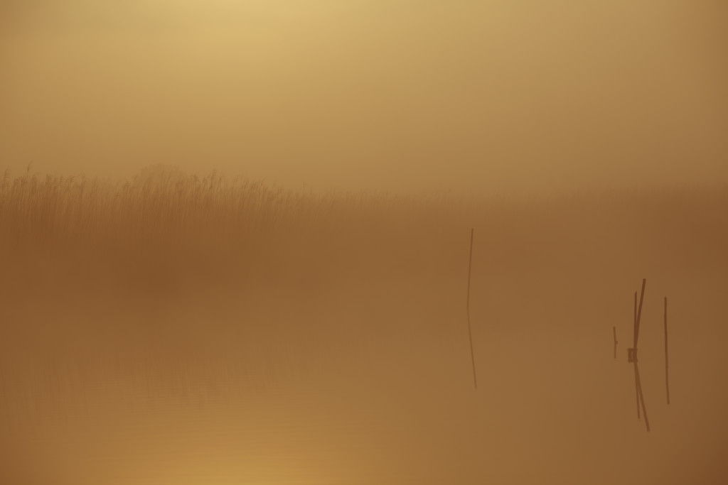 f0171065_20292912.jpg