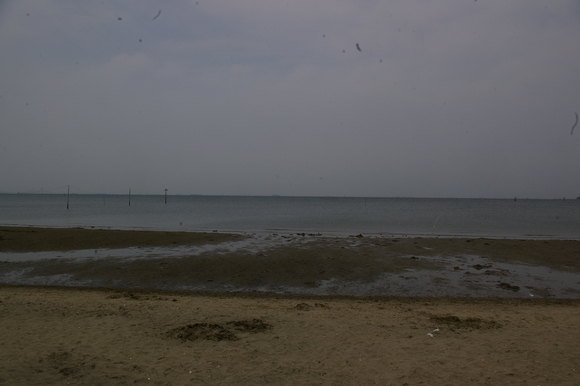 潮干狩りPart 2/shellfish gathering on a beach, part2_a0186568_12182288.jpg