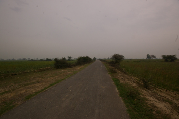 インド滞在記2011 その5: India 2011 Part5_a0186568_21375958.jpg