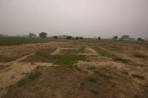 インド滞在記2011 その5: India 2011 Part5_a0186568_2215539.jpg