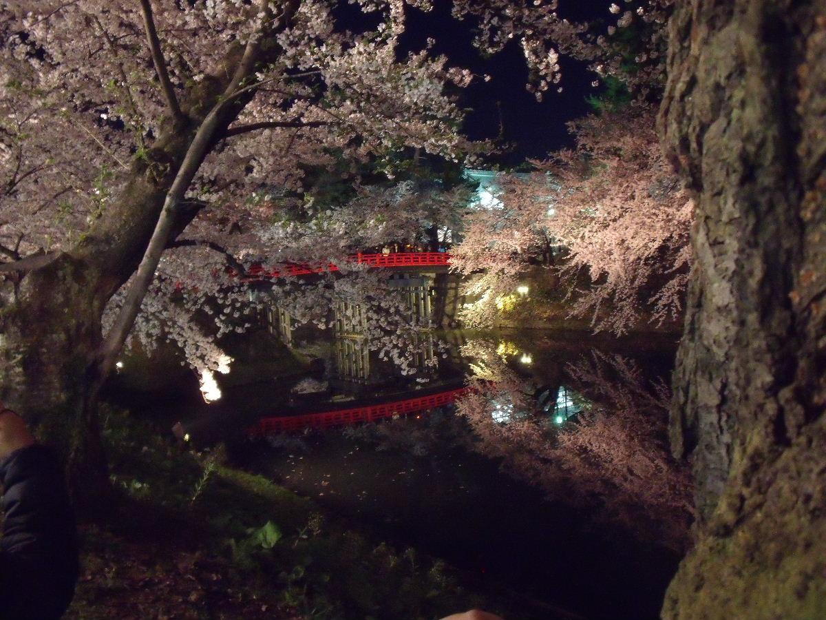 再び弘前へ・・・夜桜_b0067569_22255523.jpg