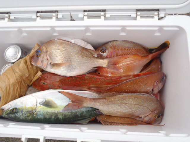 GWの釣果_a0077071_18313966.jpg