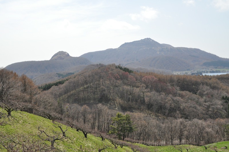 b0068572_8172350.jpg