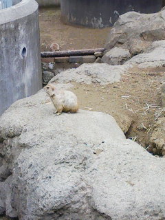 江戸川区自然動物園_f0112873_23343065.jpg