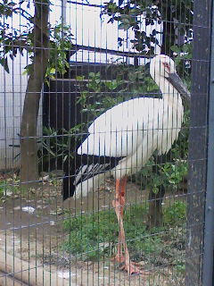 江戸川区自然動物園_f0112873_23421775.jpg