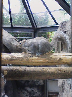 江戸川区自然動物園_f0112873_23462097.jpg