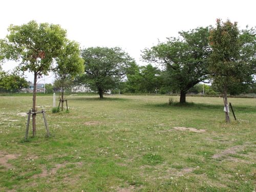 c0229377_23152331.jpg