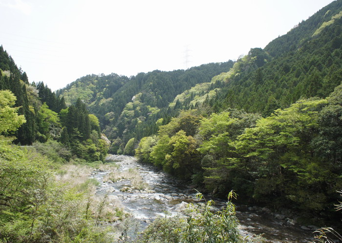 c0197578_003711.jpg