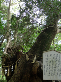 住吉神社／住乃江キッチン_b0142989_1165671.jpg