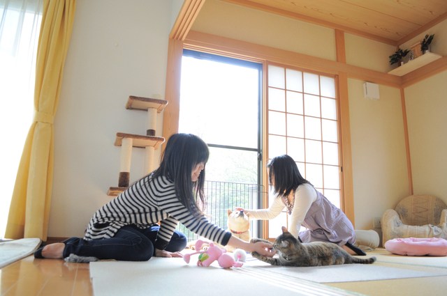 接待はつーちゃん。案内はかぼちゃん。_a0126590_20191898.jpg